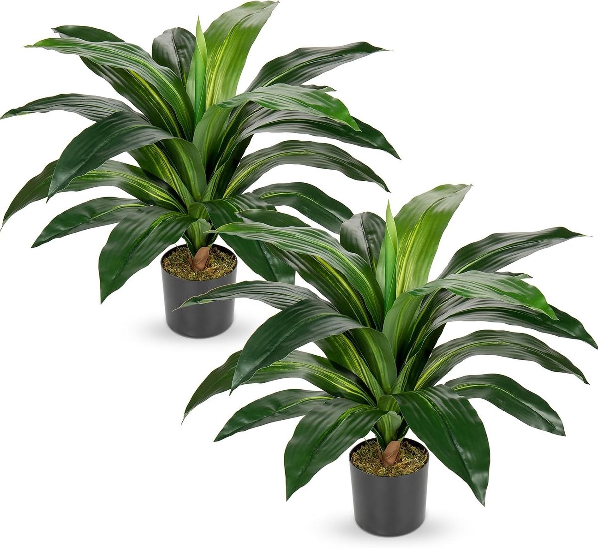 Set van 2 Kunstplanten, Grote Drakenboom in Pot, Perfecte Decoratie voor Binnen en Buiten, Ideaal voor Woonkamer, Slaapkamer en Badkamer