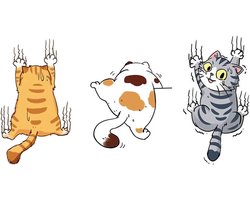 Set van 3 kattenautostickers, vinyl, grappige autostickers, kattenkras-afdekking, zelfklevende autodecoratie, sticker, decoratie voor ramen, muren, laptop, bagage, stickers