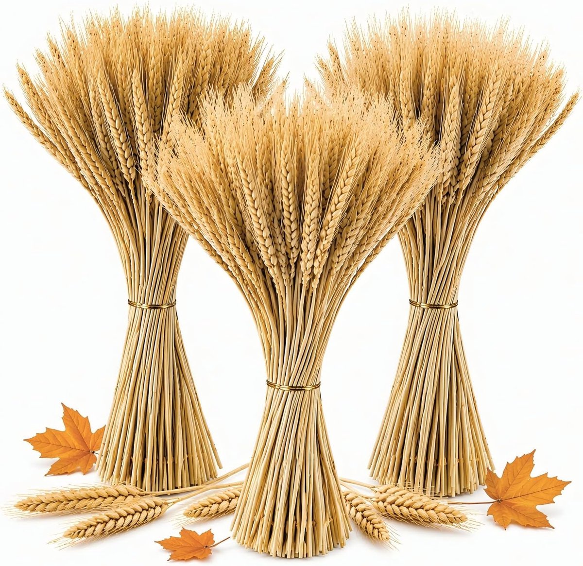Gedroogde bloemen tarwe 40 cm