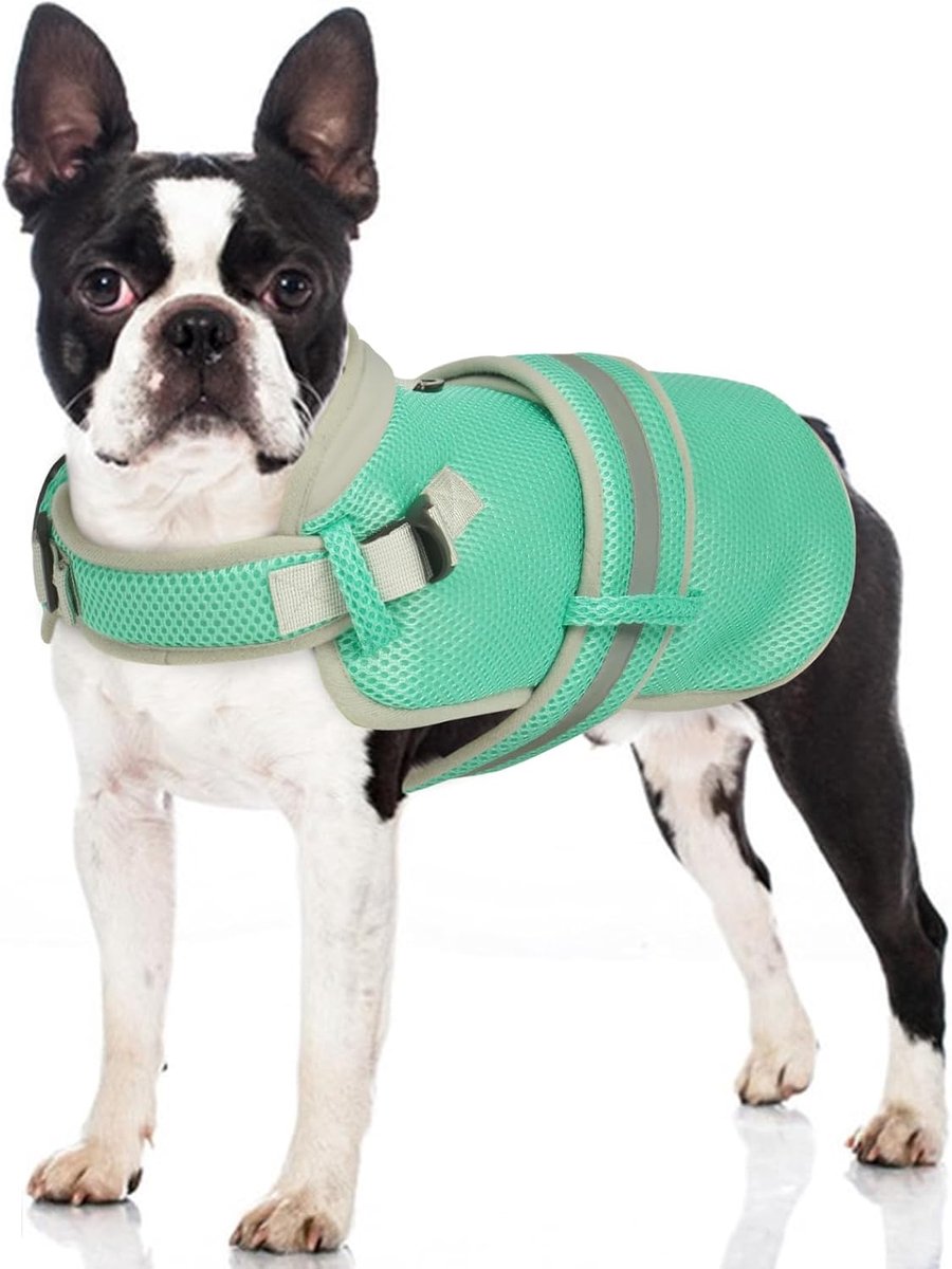 Hondenkoelvest voor kleine, middelgrote en grote honden, effectieve koeling door ademend mesh, verstelbaar, reflecterend en veilig, zomerjas voor wandelingen, wandelen (groen, L)
