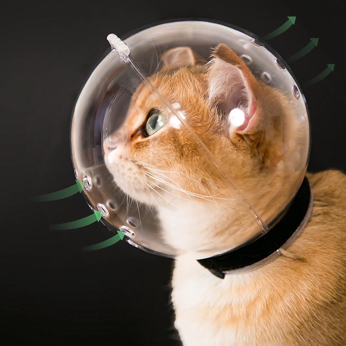 Kattenmuilkorf en helm - ademende, verstelbare kitten astronautenkap voor huisdieren - voorkomt bijten, kauwen - agressief kattenbalmasker (L, 9-16 lbs)