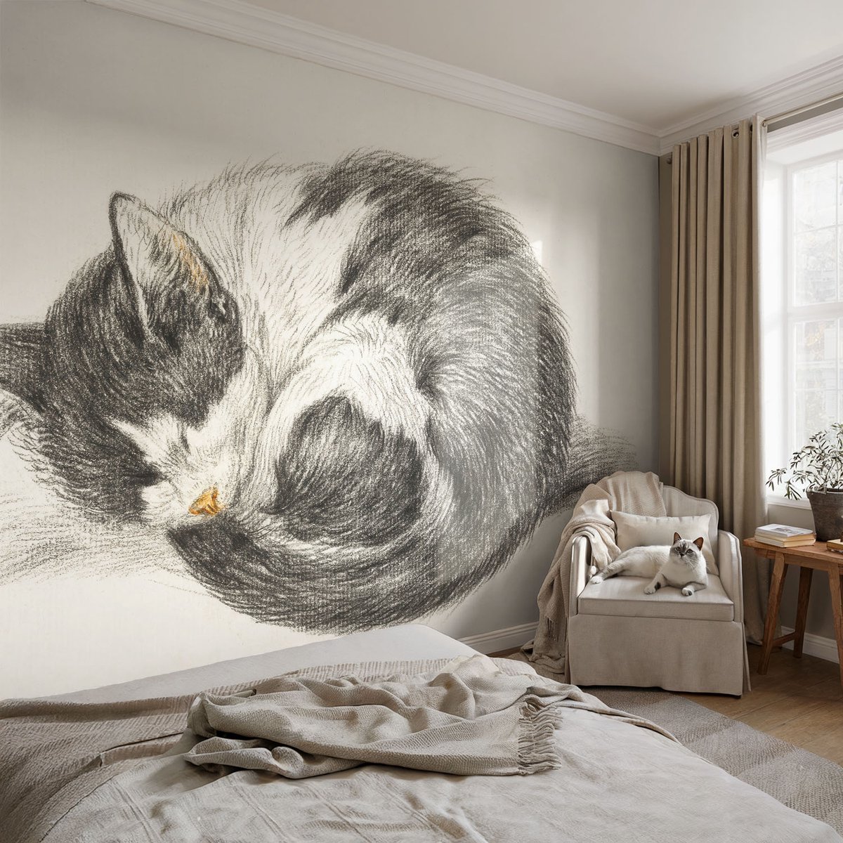 Coloray Vliesbehang - Zwart-Wit Snellijm Behang - 104x70 cm - Schattig Katje Muurschildering - Slaapkamer behang Dieren - Fotobehang Vlies - Slaapkamer behang