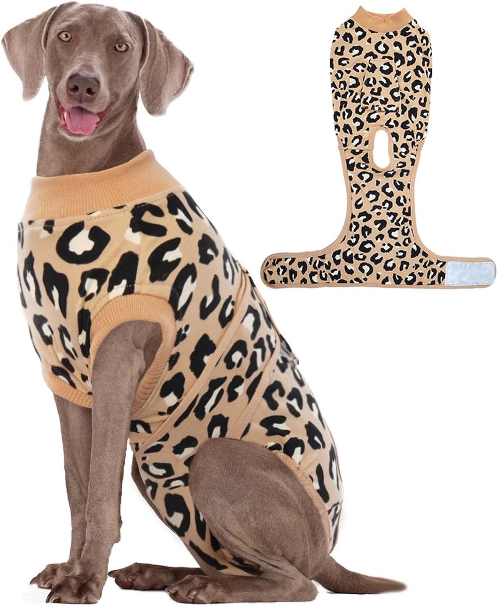 Hondenbody na operatie, operatie, body hond en teef, donkerbruin, 2XL