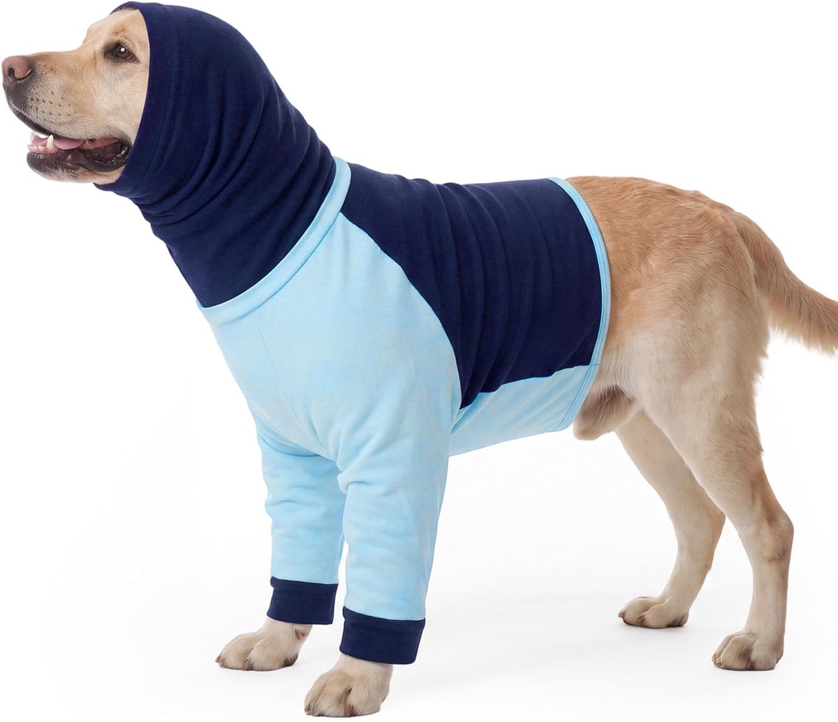 Hond met nek- en voorbeenbescherming, lekbescherming shirt