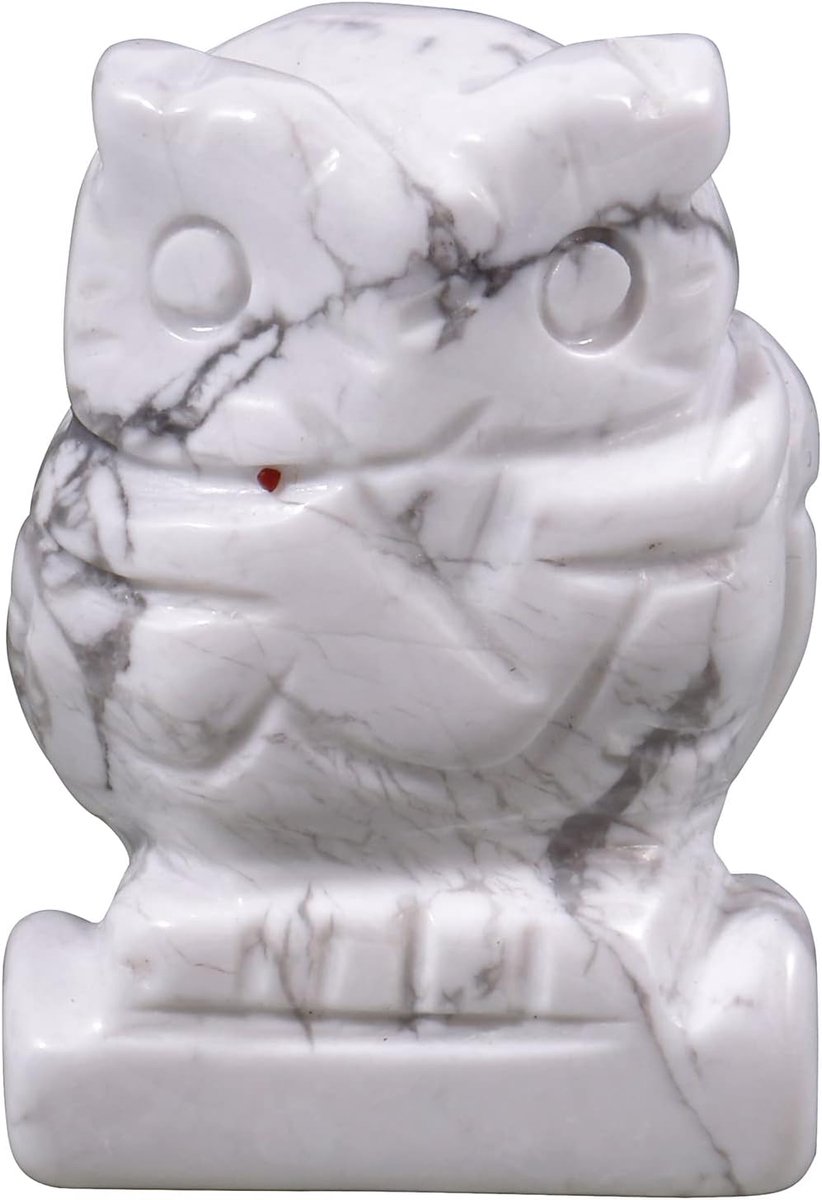 howliet turkoois genezing kristal steen, figuur decor uil vogel bewaker handgesneden steen beeld