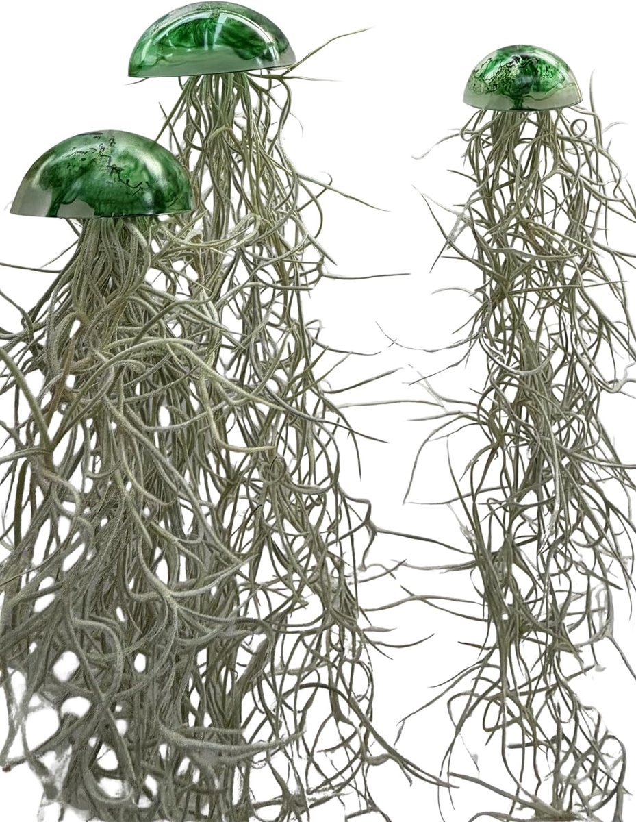 Set van 3 glazen kwallen luchtplanten – groene epoxy zee-egels met Tillandsia – handgemaakte hangdecoratie – luchtplanten zonder pot – Trendyairplants