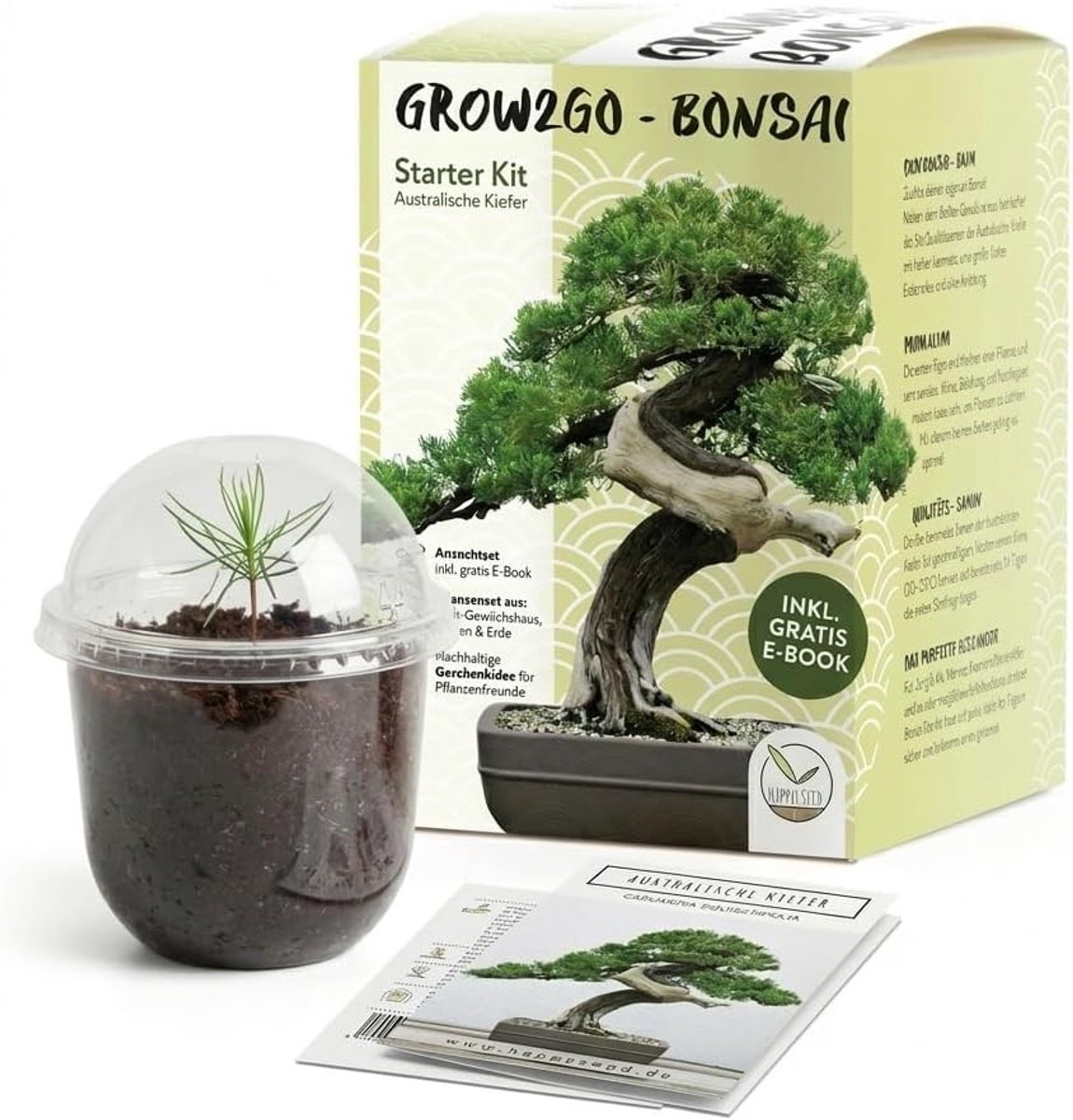 Bonsai Starter Kit - Groen - Australische Pijnbomen - Plantenset met Minibroeikas en Zaden - Voor Plantenliefhebbers