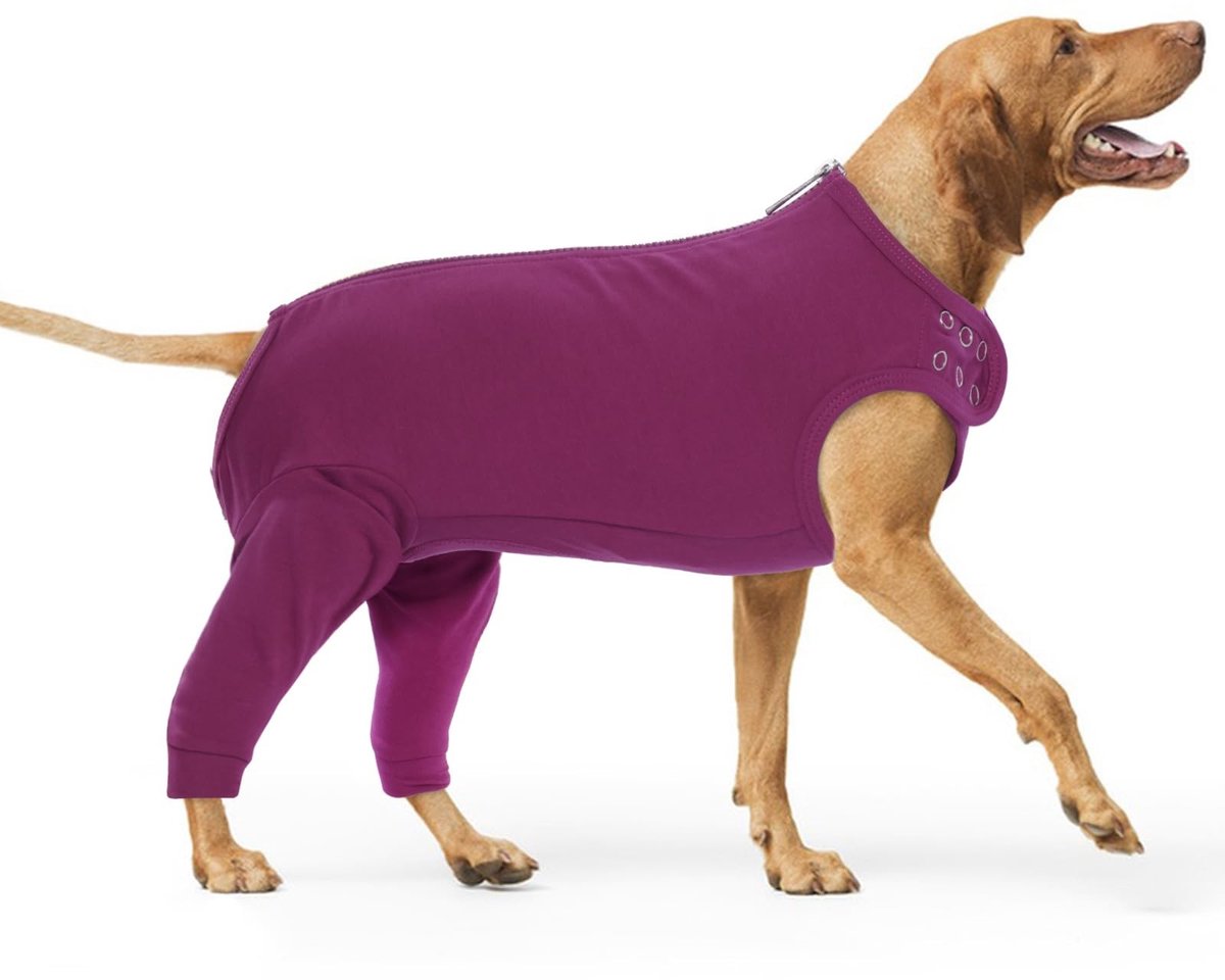 Elzusha - Honden Recovery Suit - Post-Operatieve Bescherming voor Grote Honden
