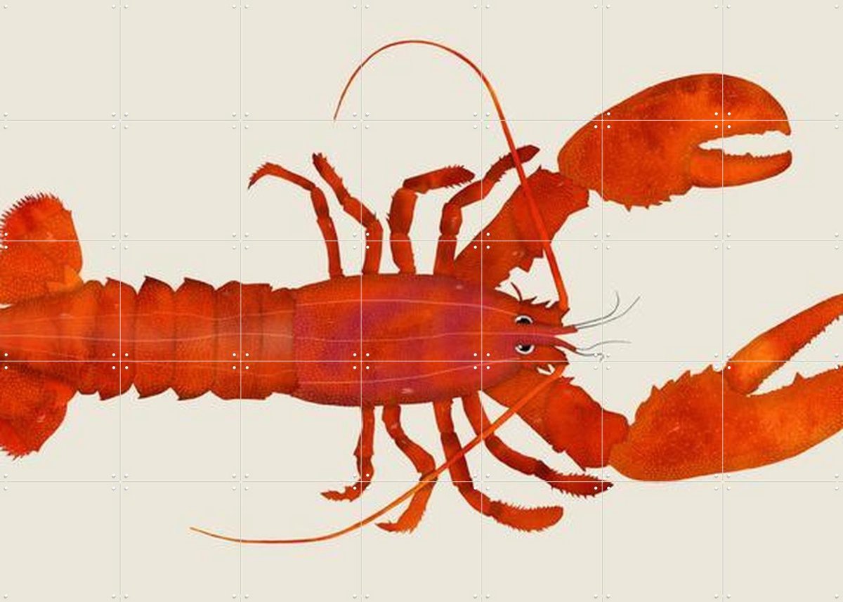 IXXI Lobster, Merel Corduwener - 140 x 100 cm - Gratis ophangtool - Grote wanddecoratie en posters - Grafisch Ontwerp, Illustraties, Speels, Digitale