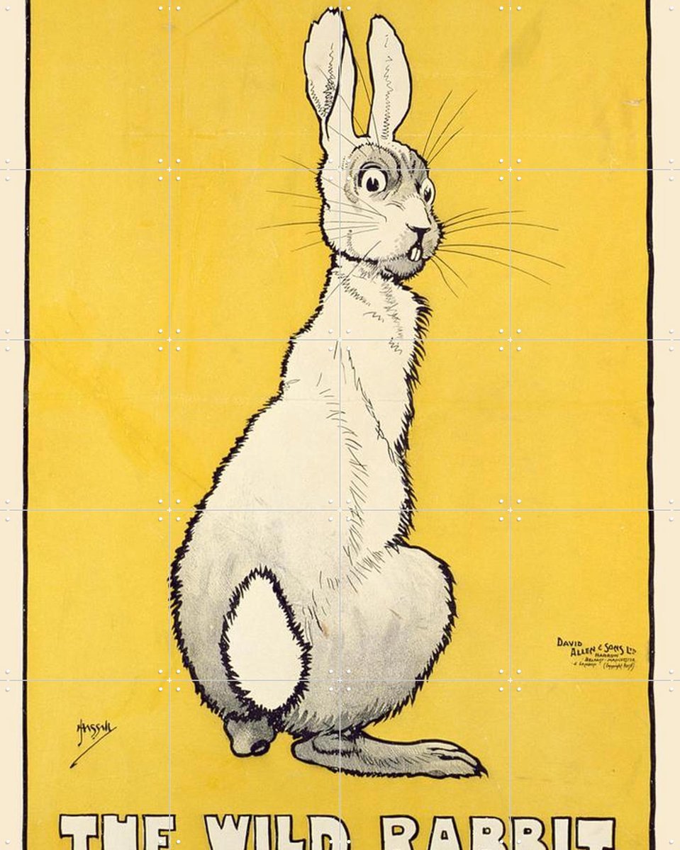 IXXI The Wild Rabbit, Bridgeman Images - 80 x 100 cm - Gratis ophangtool - Grote wanddecoratie en posters - Kleurrijk, Speels, Illustraties, Vintage