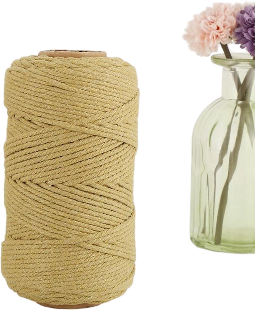 Macramétouw 3 mm x 100 m, natuurlijk katoenen draad voor wanddecoratie, plantenhangers, boho-decoratie,Khaki