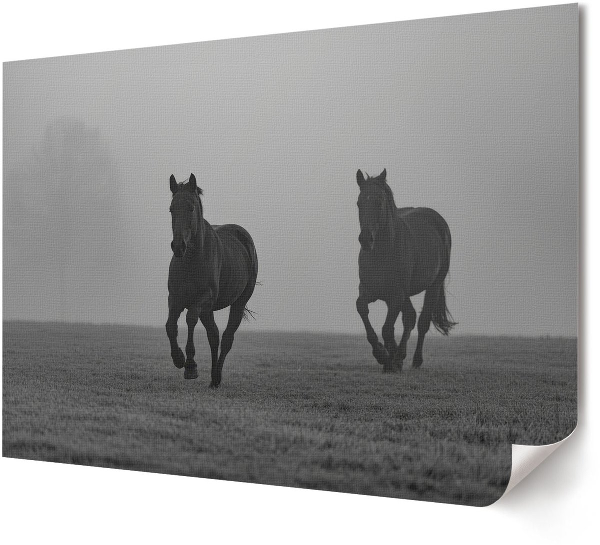 Coloray Polycanvas Wandposter - Bloemenvelden, Fotografie - A4 - Groen Illustratie - Rechthoek - Interieurdecoratie - Woonkamer, Slaapkamer, Kantoor - Klassiek