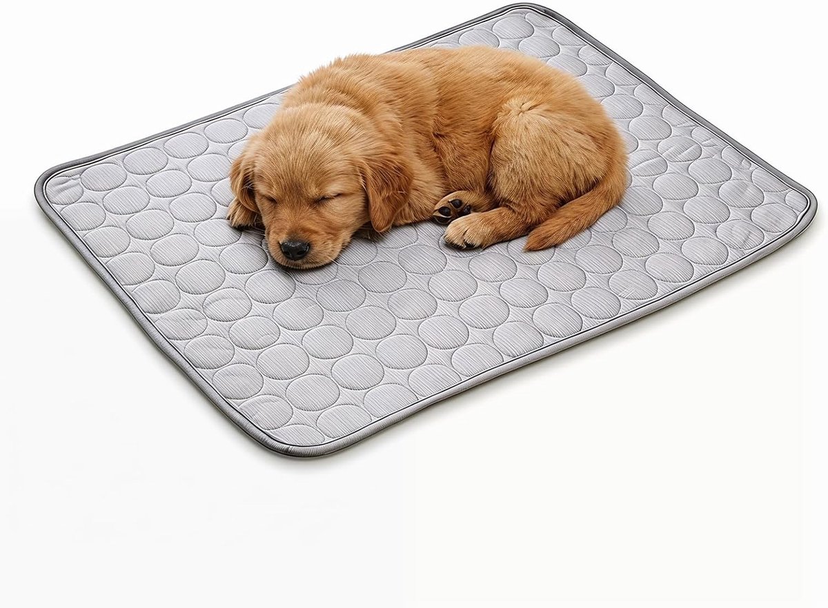 Verkoelingsmat kat - Blauw - Klein - Zelfkoelend Gelkussen - Voor Honden en Katten