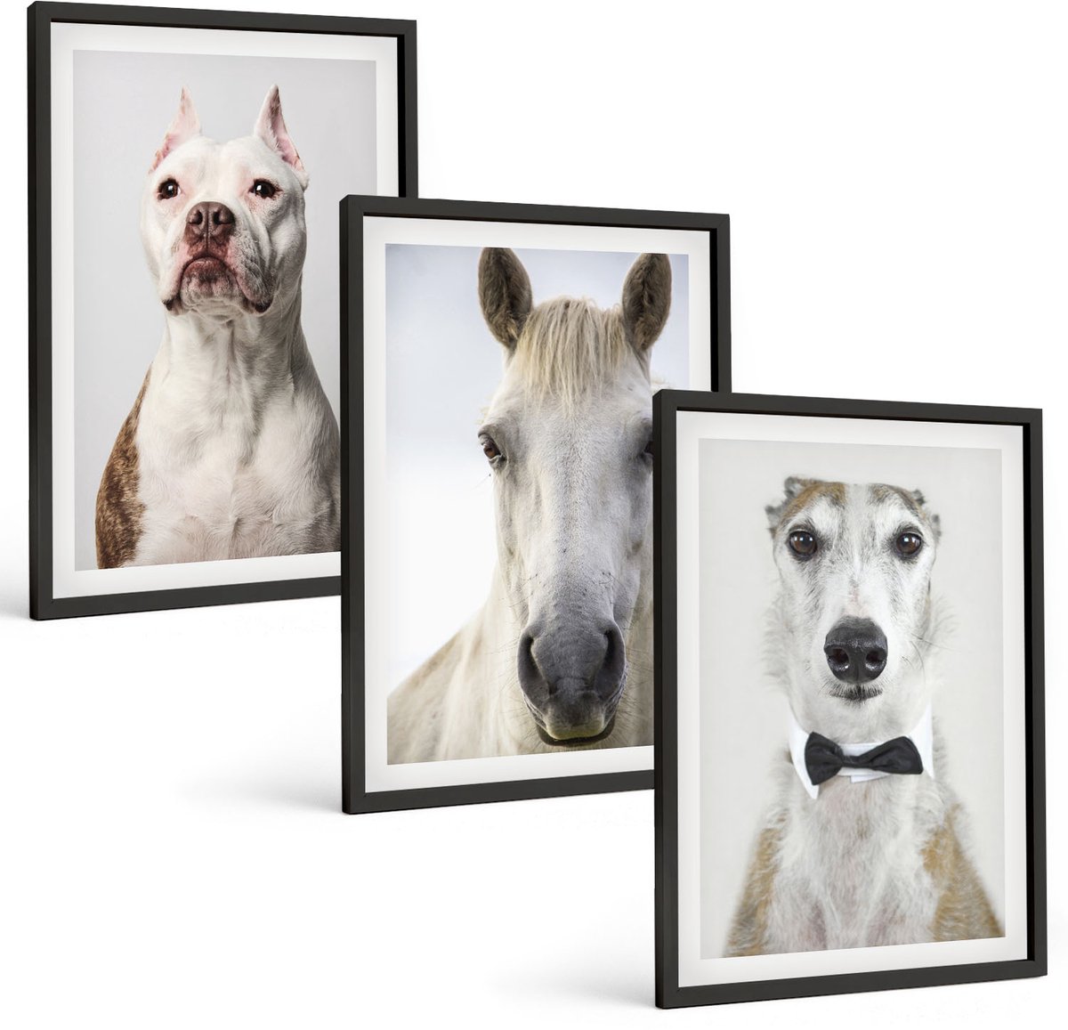 Coloray 3-Delige Schilderij Set - Interessante Portretten Van Honden En Paarden In Een Elegante Stijl. - 40 x 60 cm - Wanddecoratie - Muurdecoratie - Woonkamer