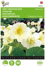 Buzzy Seeds - Oost-Indische Kers Milkmaid (Tropaeolum)