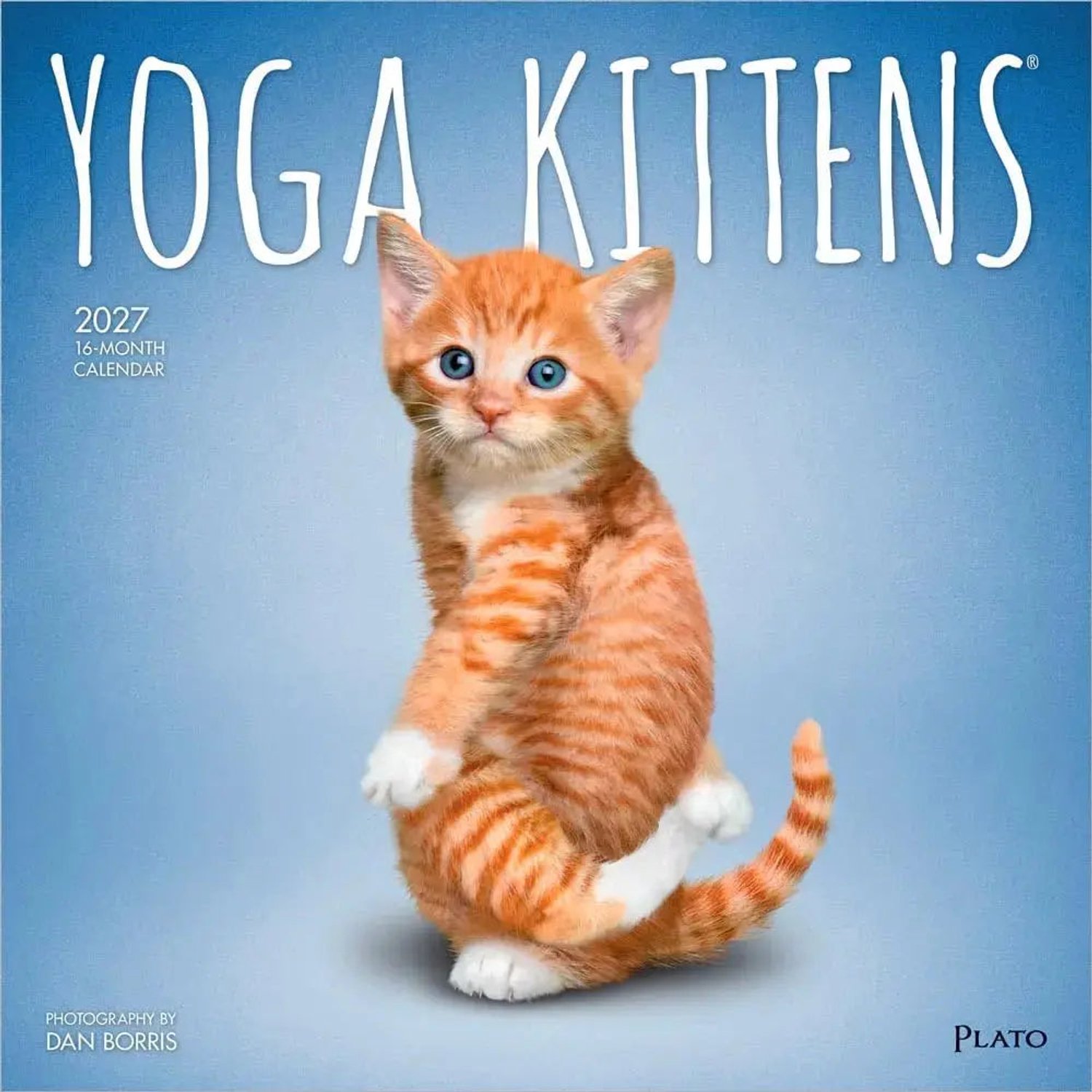 Yoga Kittens Kalender 2027