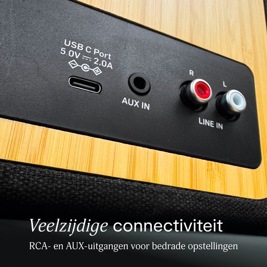 Achterpaneel van luidspreker met USB-C, AUX-ingang en RCA-aansluitingen.