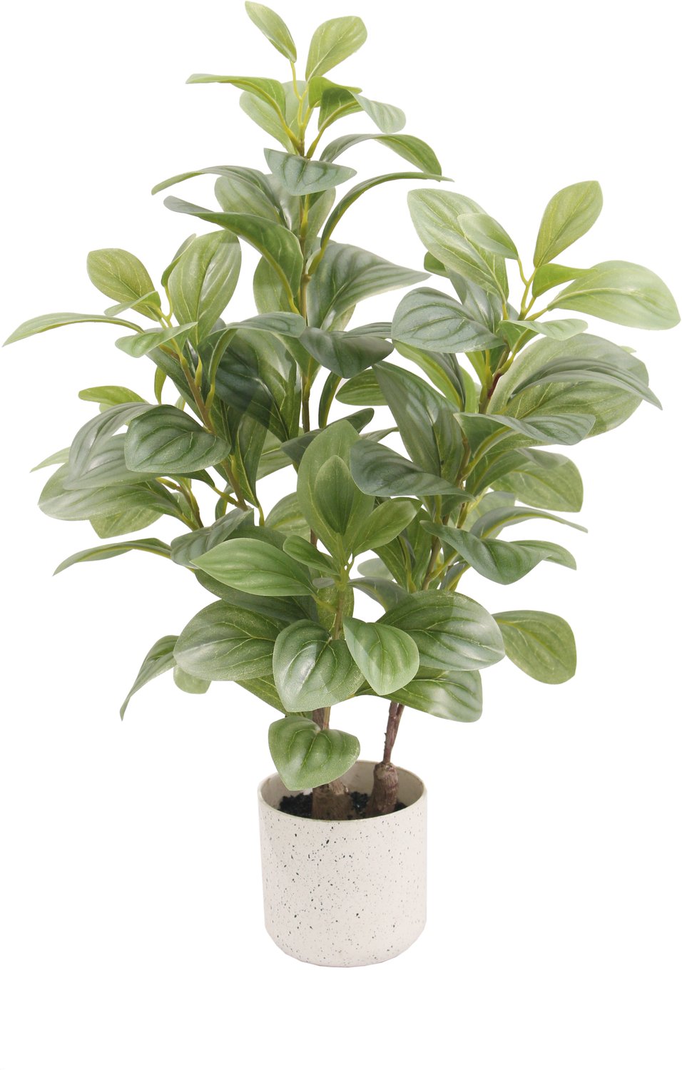 Kunstplant Pepi peperomia 55cm