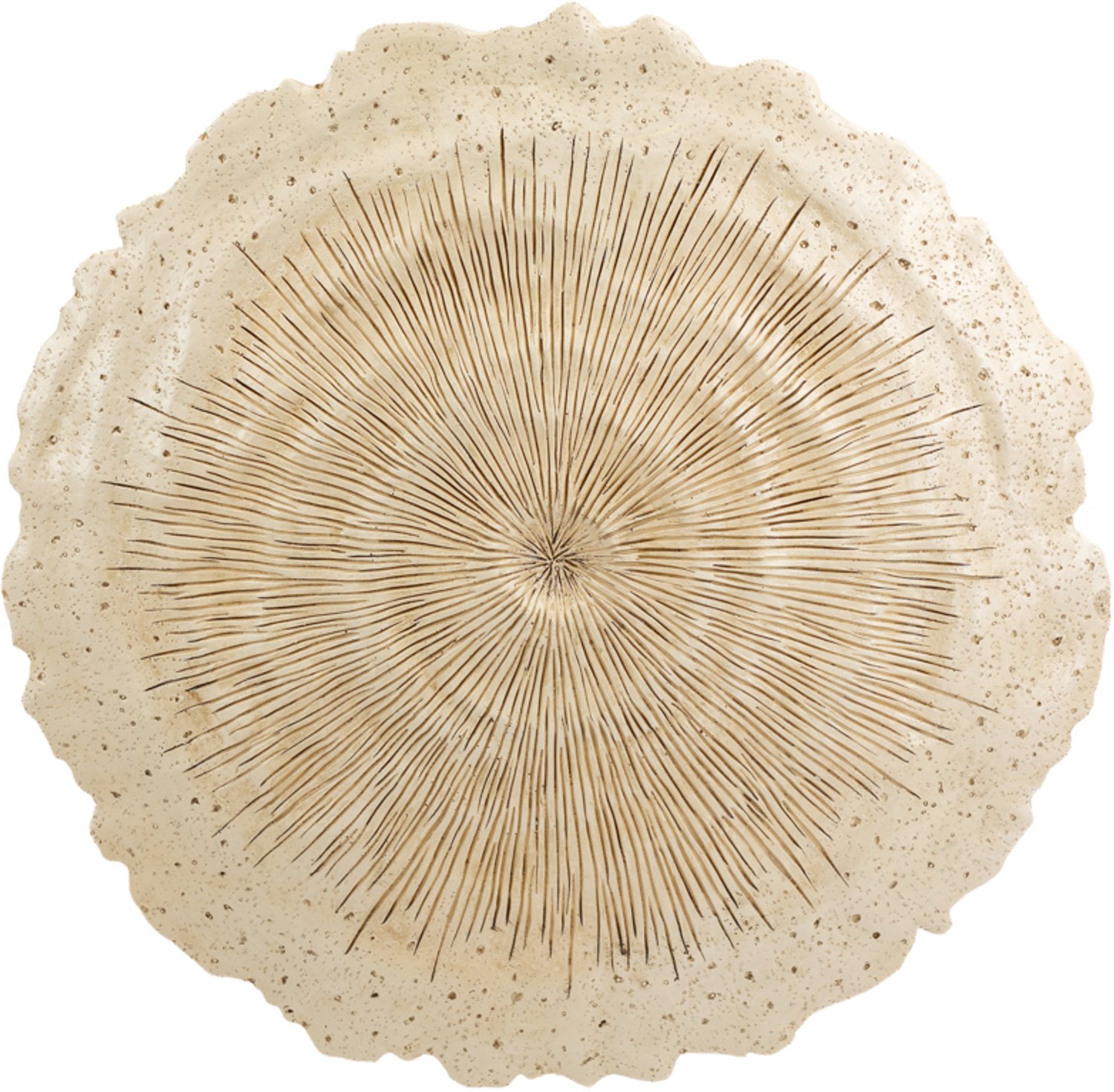 Wanddecoratie Arko M