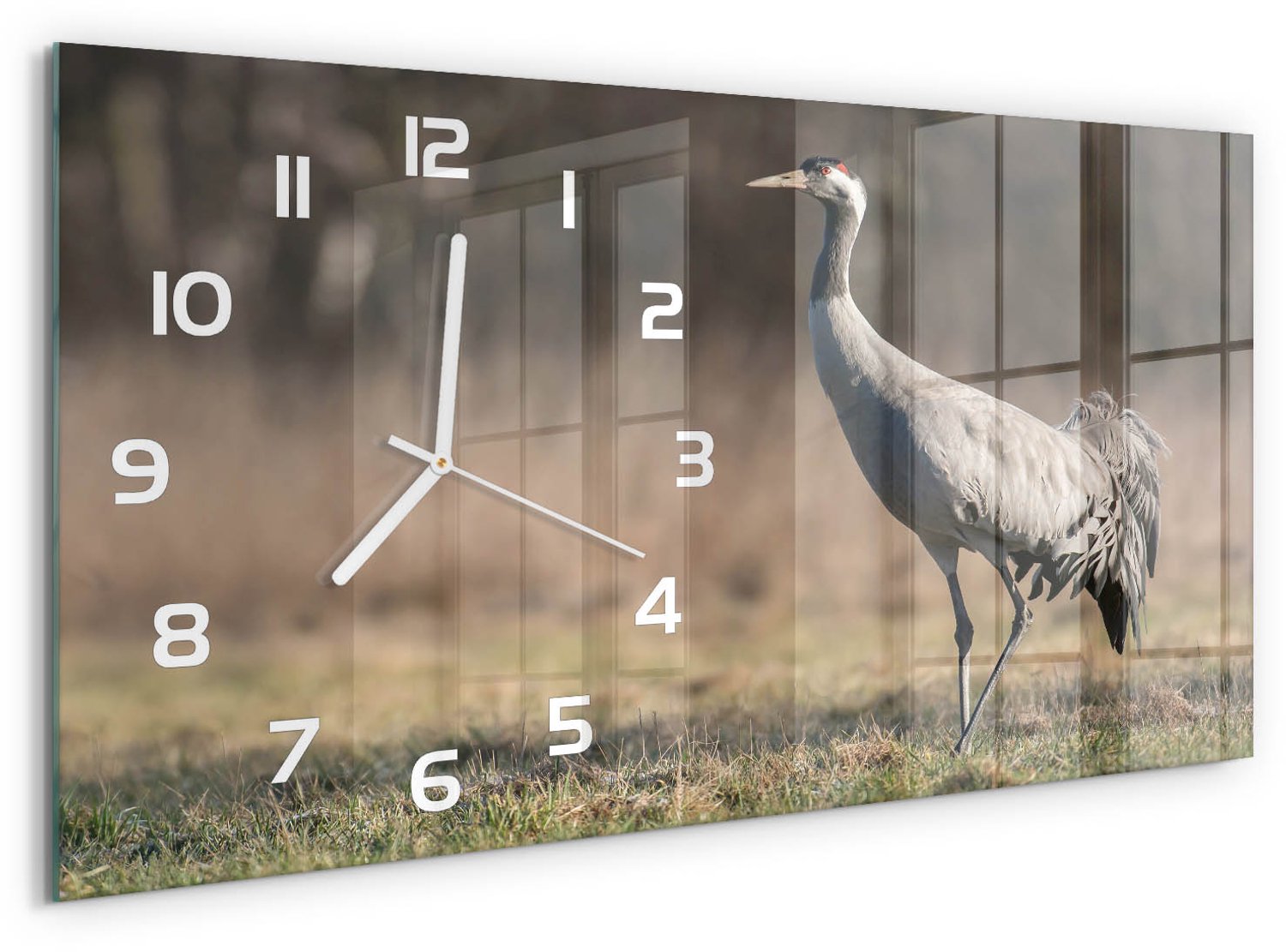 TULUP Wandklok - Reiger Gekleurde Glazen Klok - 60x30 cm - Beige Glazen Klok Met Print - Witte handen - Rechthoekige Klok - Moderne Wandklok Glas - Wandklok Glas Decoratie