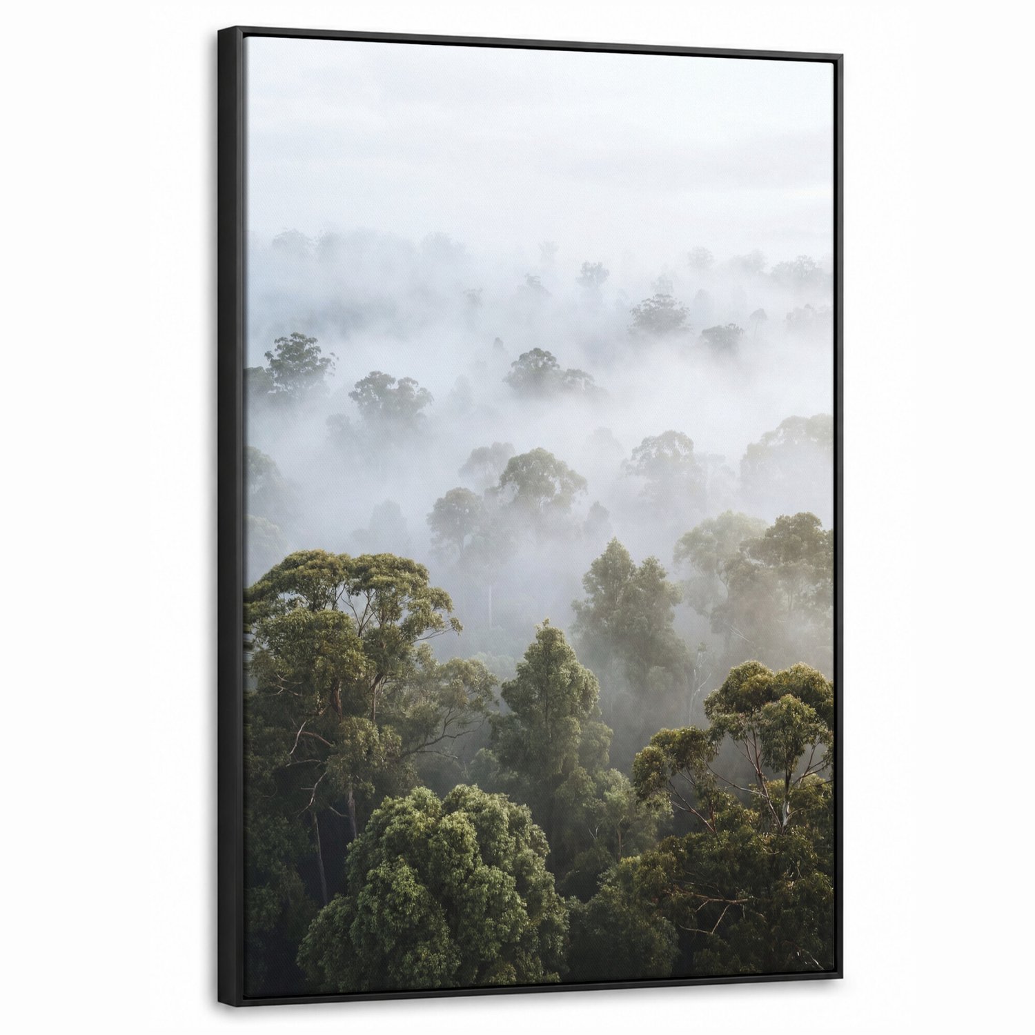 Canvas Schilderij met Baklijst - Natuur - Mist - Bos - Ochtend - Goud