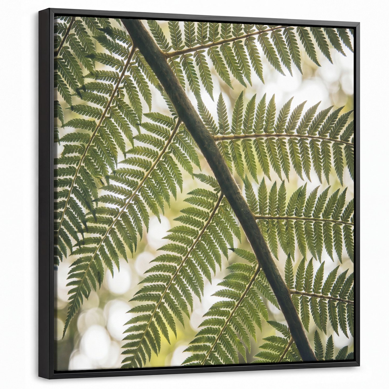 Canvas Schilderij met Baklijst - Plant - Blad - Natuur - Groen - Detail