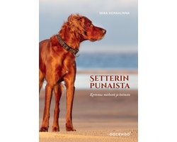Setterinpunaista