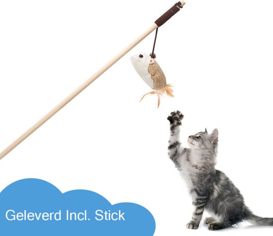 453901_6