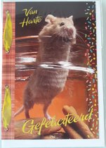 Van harte gefeliciteerd met je verjaardag! Een grappige kaart met een rat. Een leuke kaart om zo te geven of om bij een cadeau te voegen. Een dubbele wenskaart inclusief envelop en in folie verpakt.