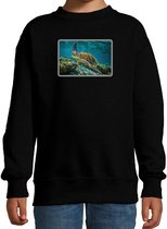 Dieren sweater met schildpadden foto - zwart - voor kinderen - natuur / zeeschildpad cadeau trui 170/176