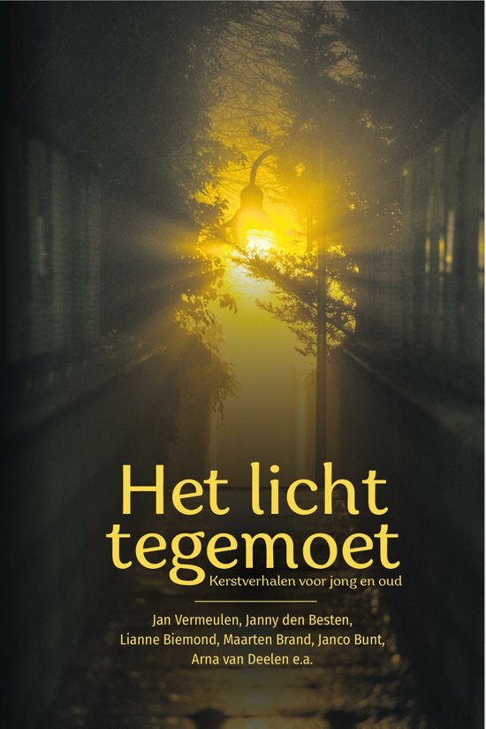 Het licht tegemoet - cover