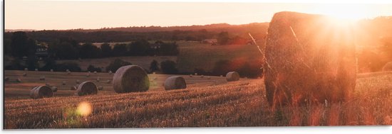 WallClassics - Dibond - Hooibalen op het Land - 90x30 cm Foto op Aluminium (Met Ophangsysteem)