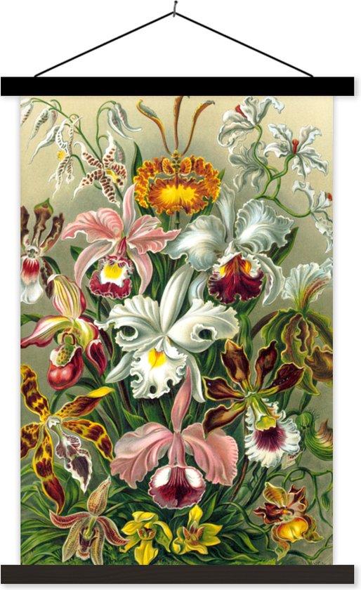 Porte-affiche avec affiche - Ernst Haeckel - Fleurs - Perfect comme Décoration Boho, bohème et Ibiza - Style Ibiza - Lattes noires Lattes