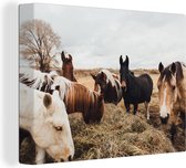 Canvas Schilderij Dieren - Paard - Paarden - 120x90 cm - Wanddecoratie