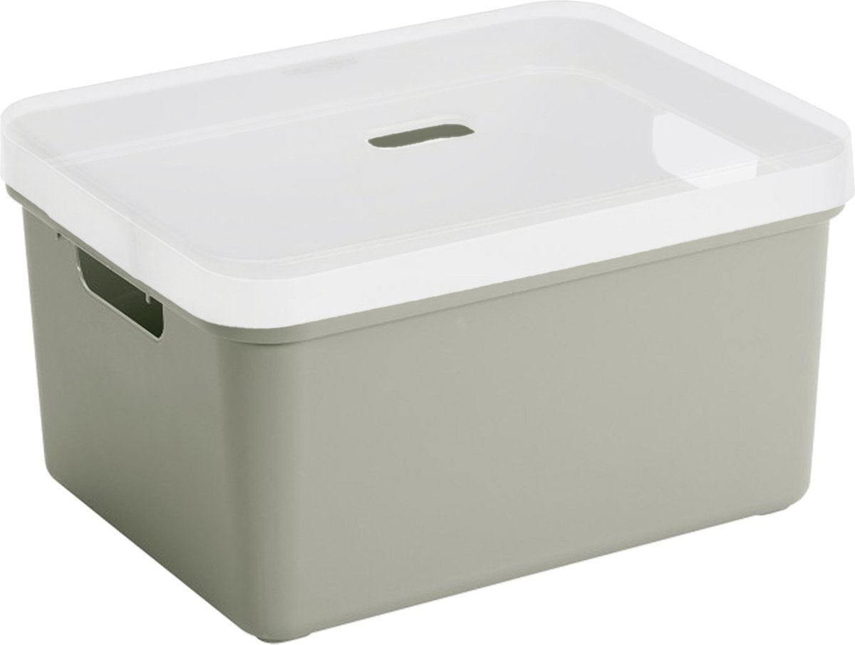 Sunware opbergbox/mand/kist van 32 liter lichtgroen kunststof met transparante deksel - 45 x 35 x 24 cm
