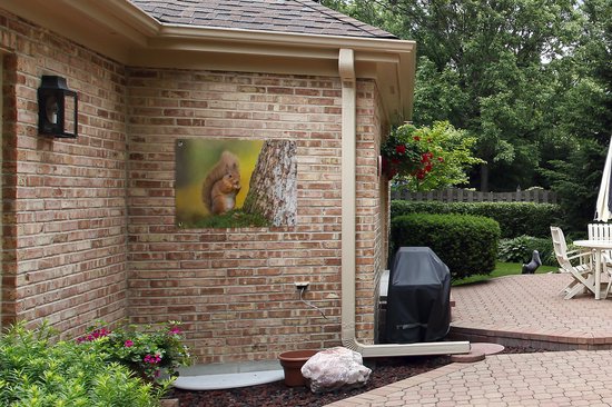 Affiche de jardin Écureuil - Écureuil roux dans la nature 80x60 cm - Toile de jardin / Toile d'extérieur / Peintures pour l'extérieur (décoration de jardin)