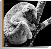 WallClassics - Bois - Koala Câlin sur Branche - 40x60 cm - 12 mm d