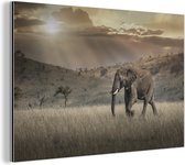 Wanddecoratie Metaal - Aluminium Schilderij Industrieel - Olifant in het savannegebied in het Masai Mara National Park in Kenia - 120x80 cm - Dibond - Foto op aluminium - Industriële muurdecoratie - Voor de woonkamer/slaapkamer