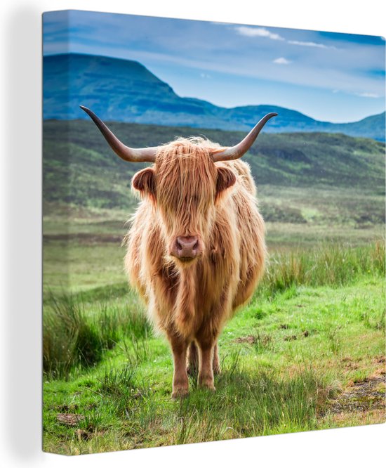 Schotse hooglander canvas - Natuur - Berg - Dier - Koe - Schilderijen op canvas - Kamer decoratie - 90x90 cm - Wanddecoratie