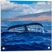 WallClassics - Tuinposter – Walvis Staart in de Zee - 50x50 cm Foto op Tuinposter  (wanddecoratie voor buiten en binnen)