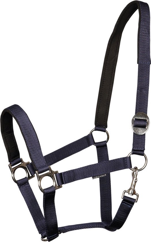 Donkerblauw halster met zwarte padding en zilverkleurige gespen.