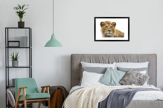 Photo encadrée - Lion mâle sur fond blanc cadre photo noir avec passe partout blanc 40x60 60x40 cm - Affiche encadrée (Décoration murale salon / chambre)