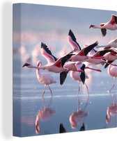 Canvas - Schilderij - Flamingo - Zee - Water - Vogel - Tropical - Schilderij op canvas - Woonkamer - 50x50 cm - Canvas doek - Wanddecoratie
