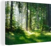 Canvas schilderij - Bos - Gras - Landschap - Boom - Schilderijen op canvas - Canvas doek - 80x60 cm