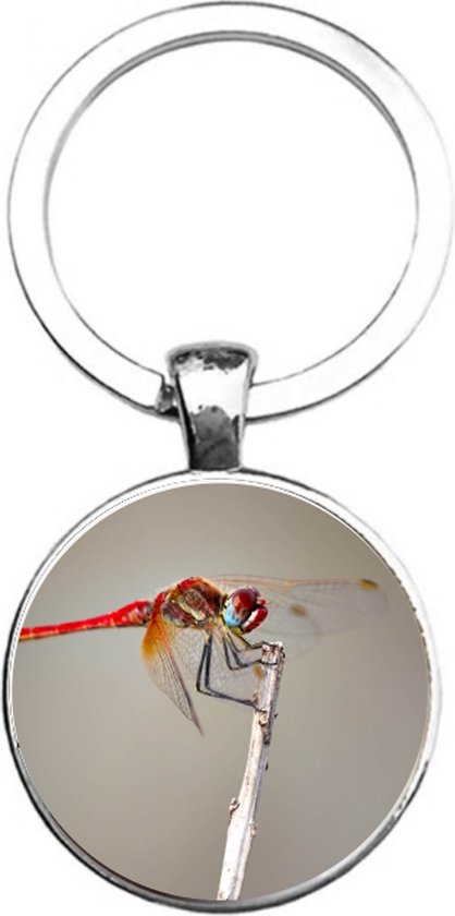 Sleutelhanger Glas - Libelle