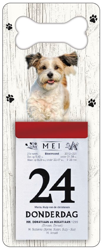 Scheurkalender 2026 Hond: Bolonka Zwetna