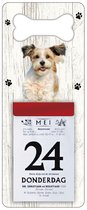 Scheurkalender 2024 Hond: Bolonka Zwetna