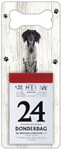 Scheurkalender 2024 Hond: Grote Münsterlander