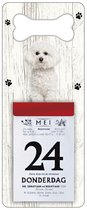 Scheurkalender 2024 Hond: Bichon FrisÃ©