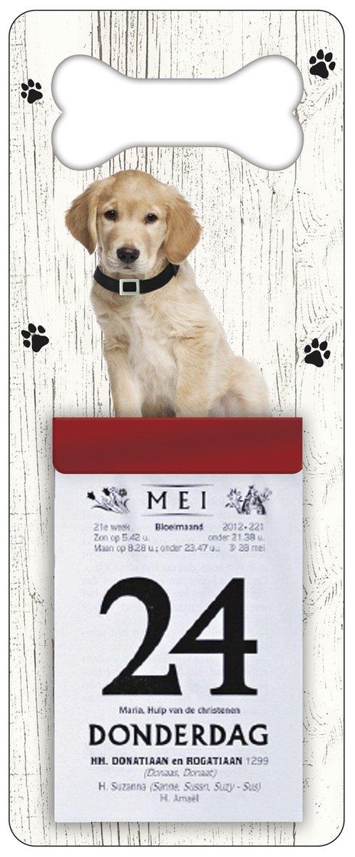 Scheurkalender 2026 Hond: Labrador
